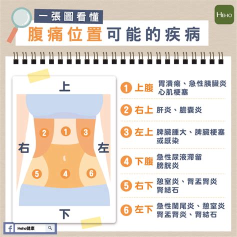 該邊位置|惱人害羞的腹股溝疼痛